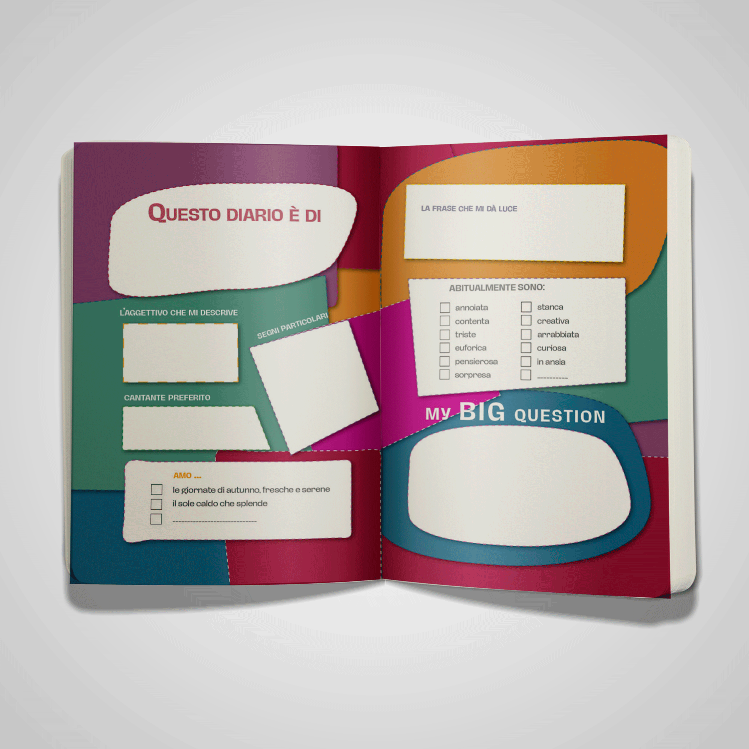 diary-mock-up-interno